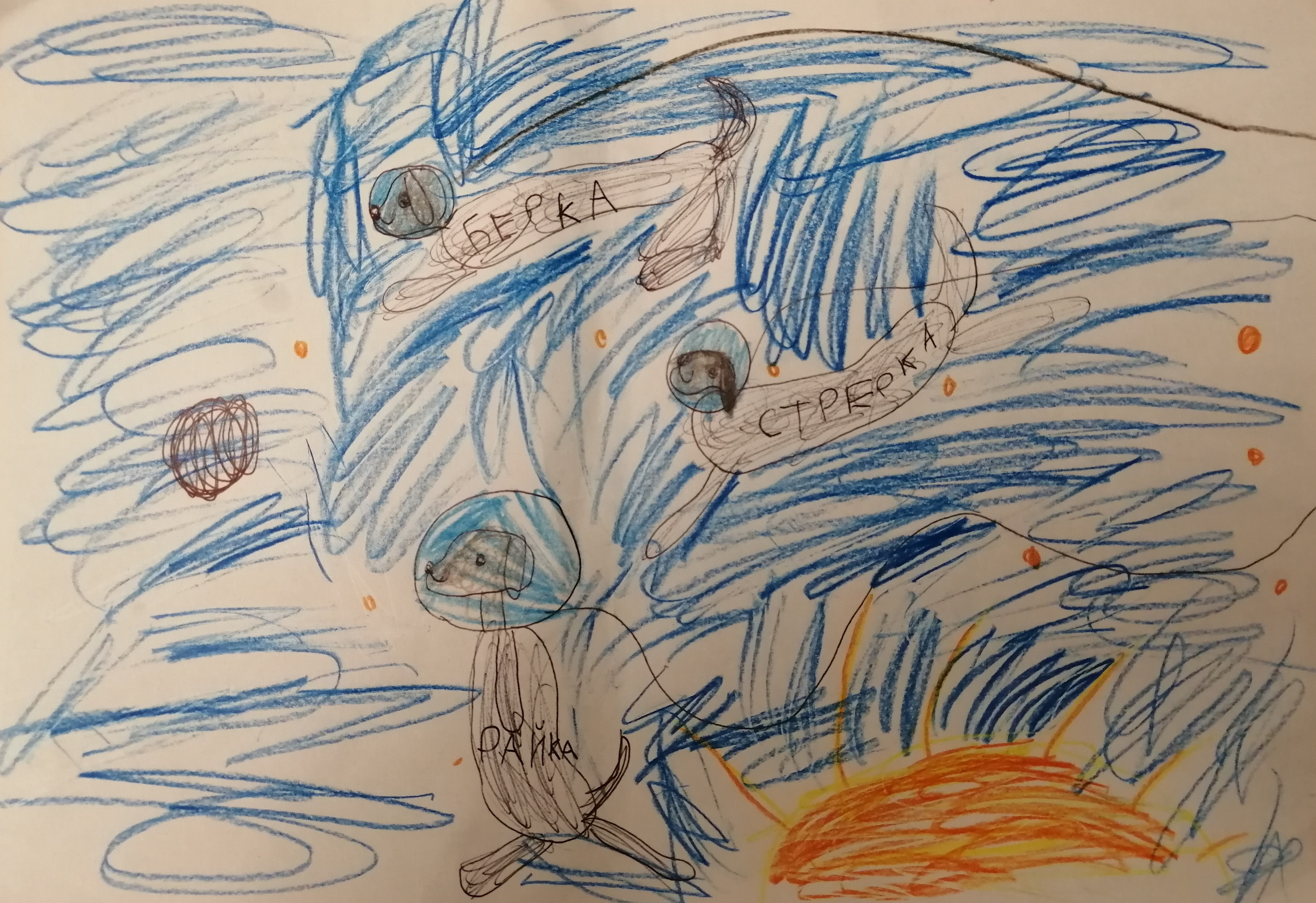 Рисунок участника Анастасия Житина, 5