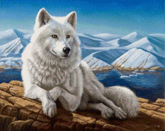 Судьба волка по кличке «Белый клык»
