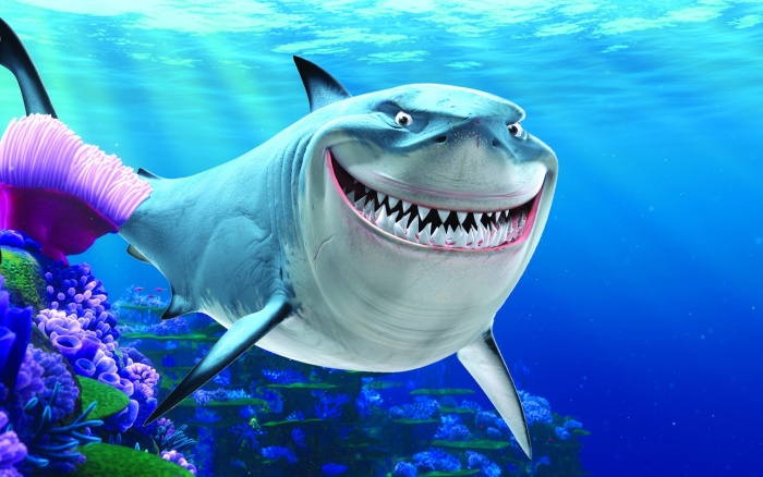 Сколько зубов у акулы?
