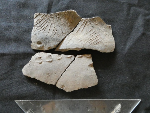 Ученые обнаружили артефакты древней неизвестной цивилизации