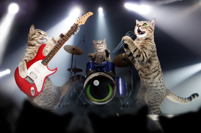 Spotify запустил музыкальный сервис для котиков