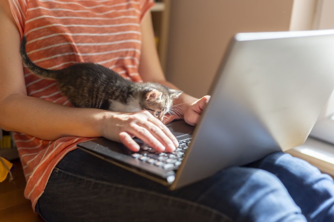 Любимый котик привык спать на клавиатуре? Не знаете, как прогнать? Есть супер-совет